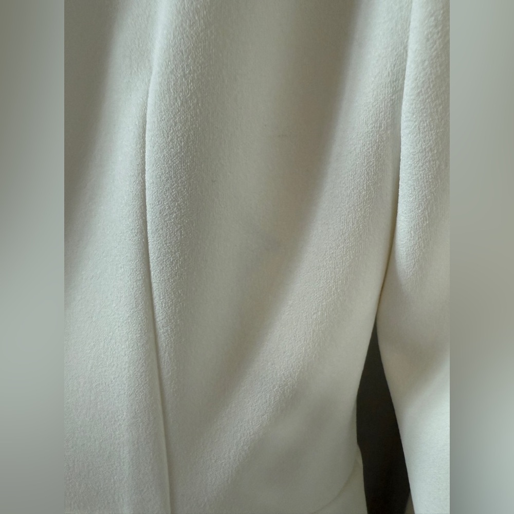 Nadine Merabi Kimberly Dress - Picture 6 of 7